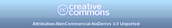 Creative Commons License_BY_NC_ND